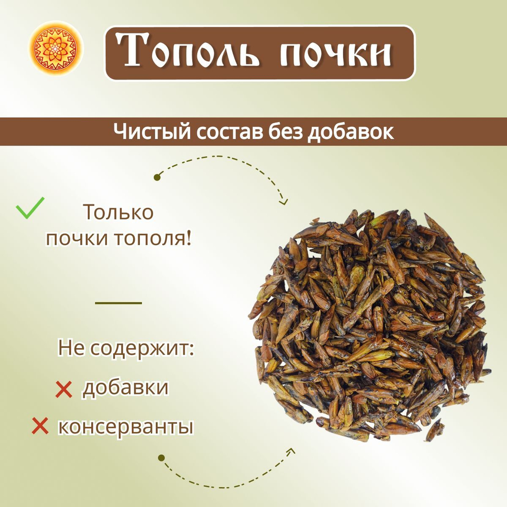 Тополь черный почки.