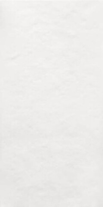 Настенная плитка Беллони белый матовый структура обрезной (48017R)