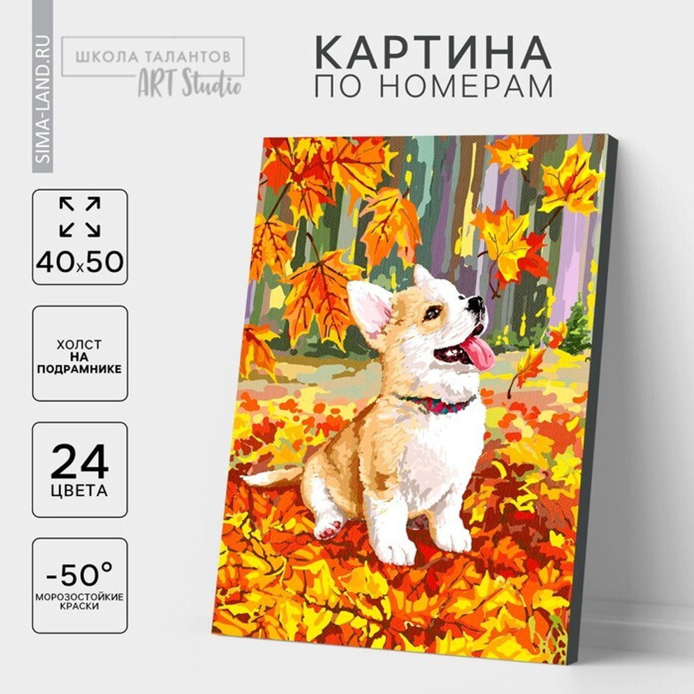 Картина по номерам на холсте с подрамником "Корги в осенней листве" 40*50 см 5005795