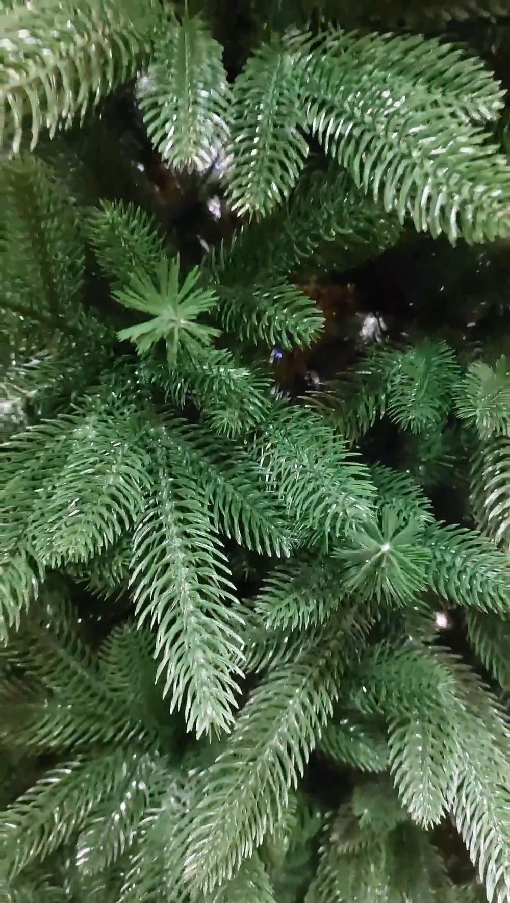 Ель искусственная «Барбара» (Литая хвоя) 120 см / 1,2 м