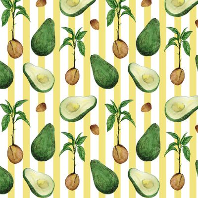 Жаркий авокадо дизайн SIcolor