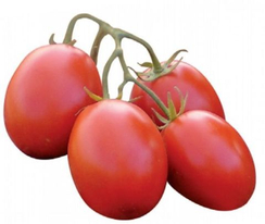 Петраросса F1 семена томата детерминантного (Clause / Клос)