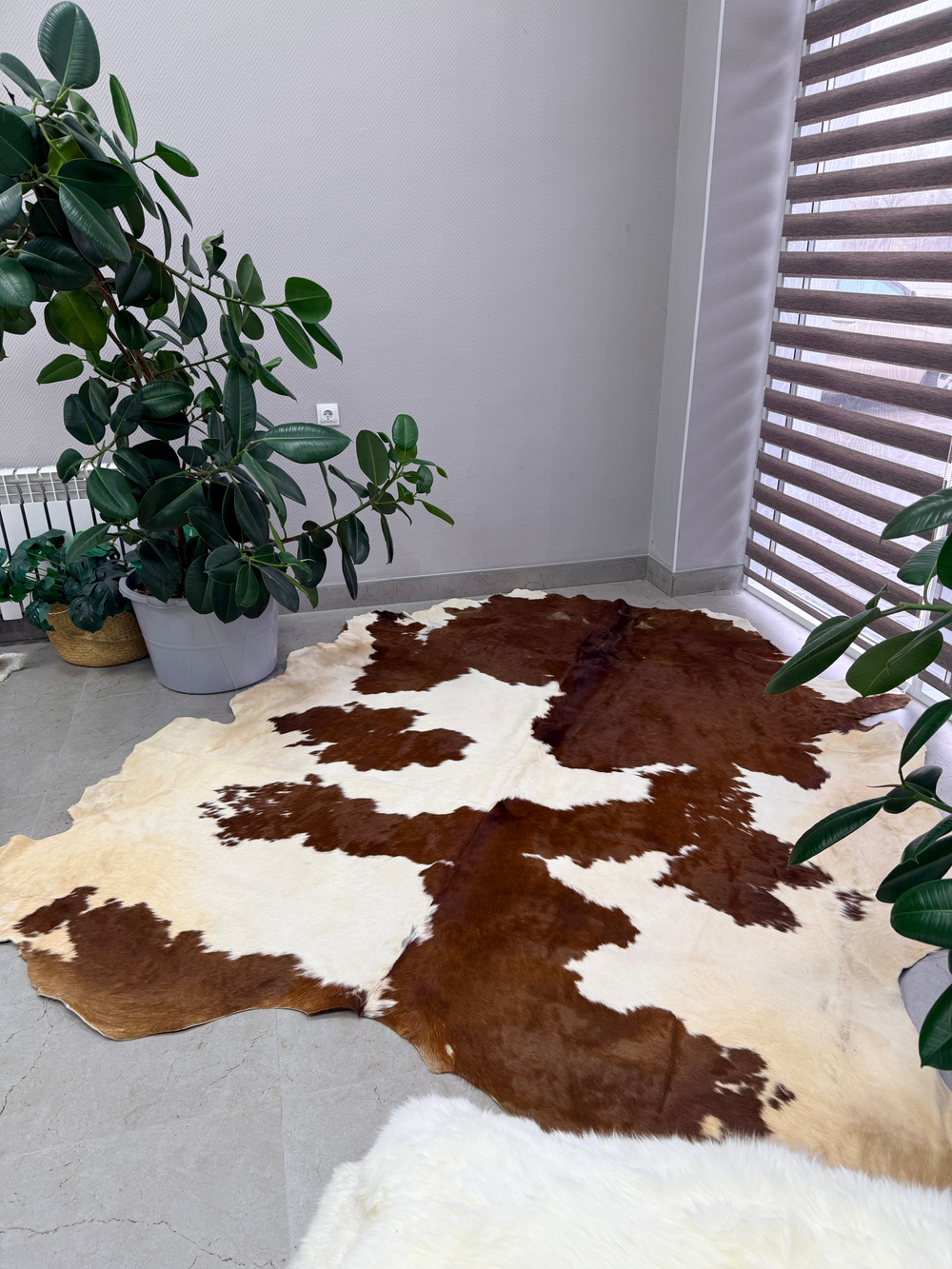 Коровья шкура на пол натуральная. 200 х 190 см