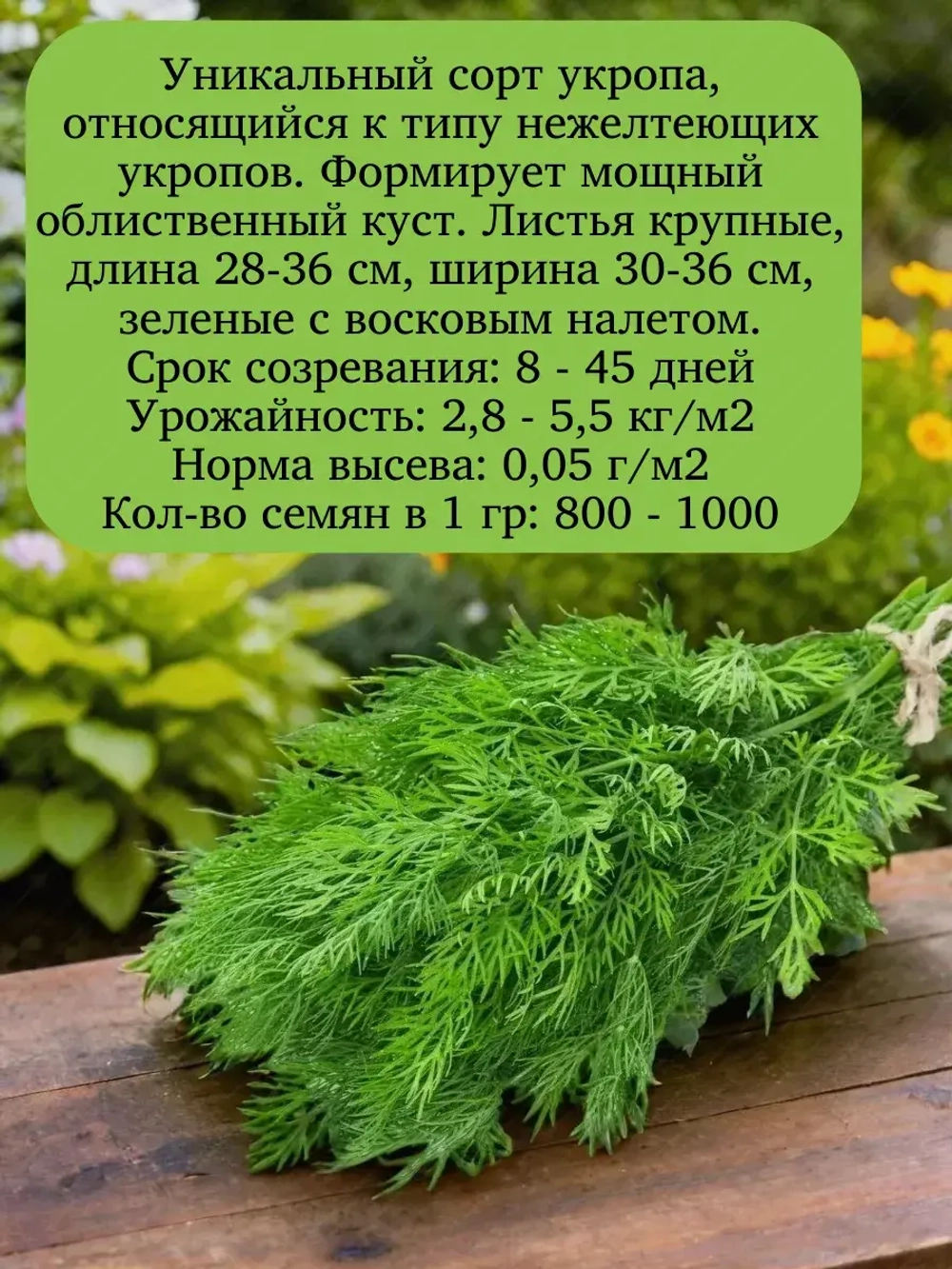 Семена Укроп Салют 50гр