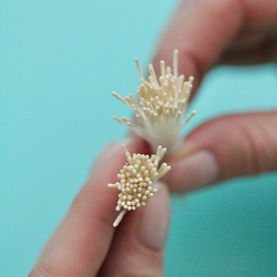 Тычинки для Пиона (длинные, светлые, 2 пучка)