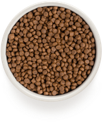 GRANDORF CAT SKIN&CARE Белая рыба с индейка для кошек