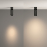 Потолочный светильник Technical C055CL-L12W4K-Z-B