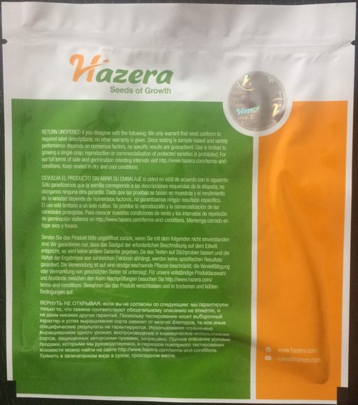 Северина F1 семена капусты белокочанной (Hazera / Хазера) – фото 3