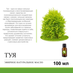 Эфирное масло ТУИ / Thuja oil