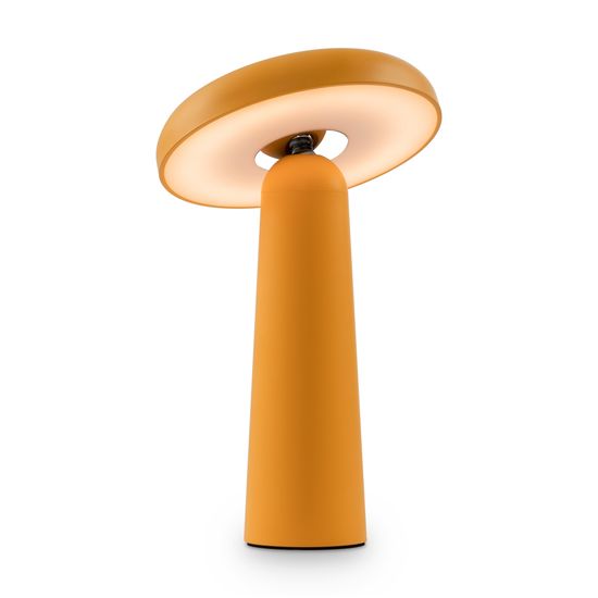 Аккумуляторный светильник Freya FR6109TL-L4OR