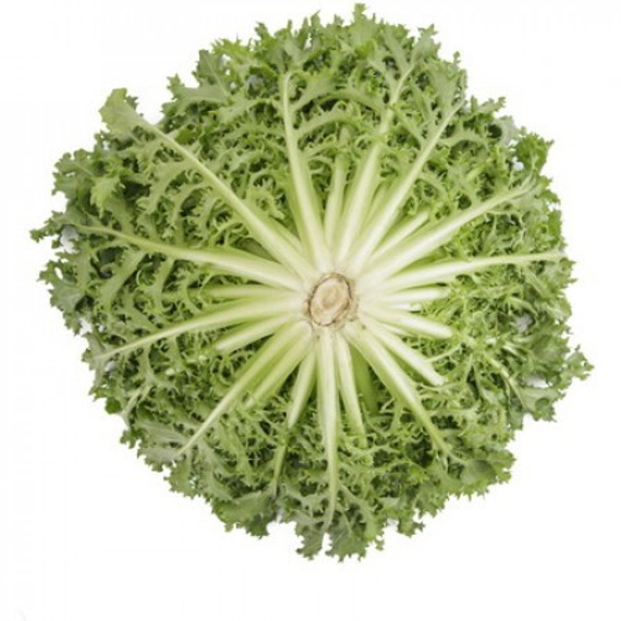 Берлинал семена эндвия – фото 2