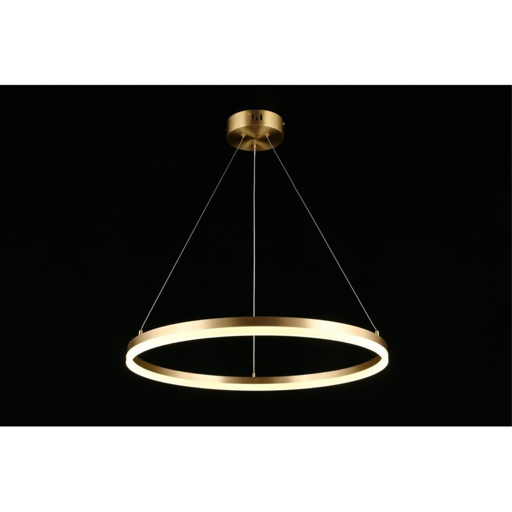 Подвесная светодиодная люстра Aployt Armel APL.049.13.40