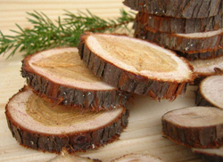 Можевельник спилы 4 шт диаметр 3-5см