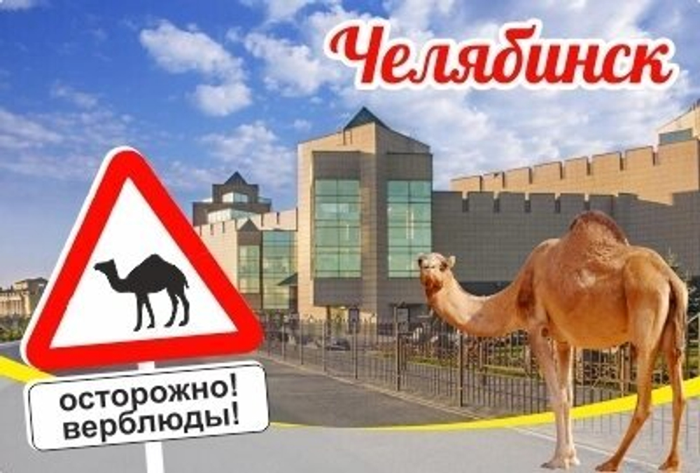 Магнит Челябинск Осторожно! Верблюды! закатной 80*53 мм №0096
