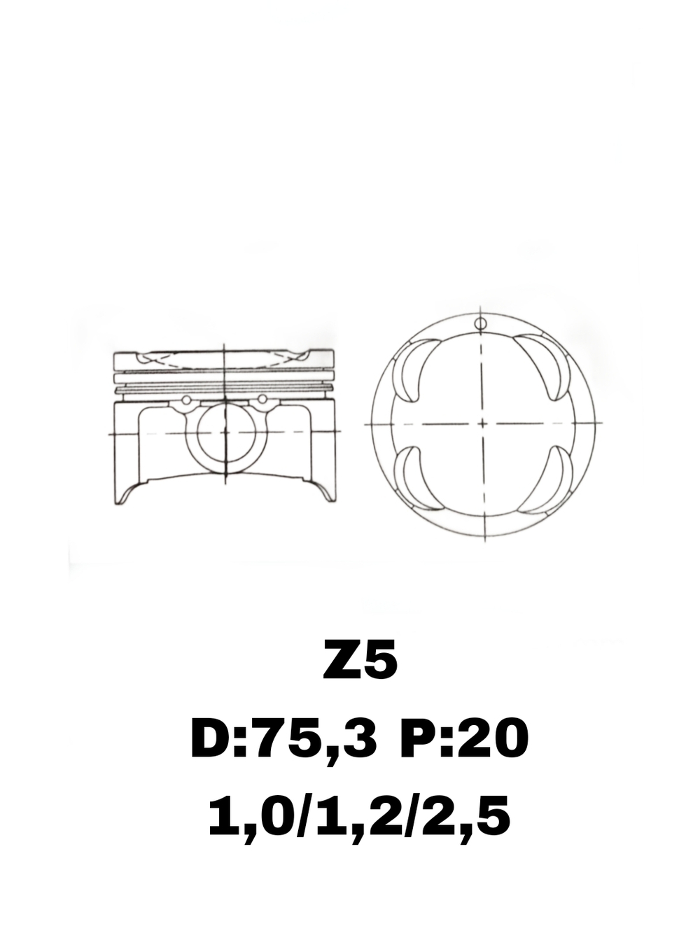 ПОРШНЯ Z5
