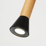 Подвесной светильник Favourite Piffero 2984-1P