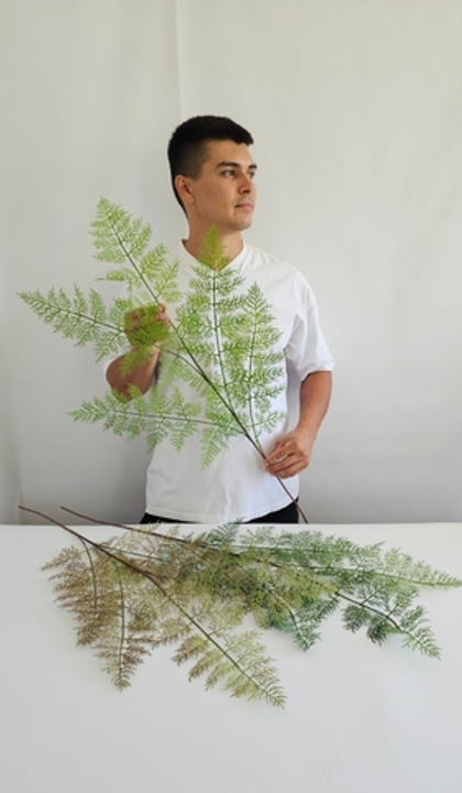 Ветка папоротника одиночная / Арт 3071