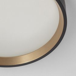 Накладной светильник Citilux Etalon CL750181