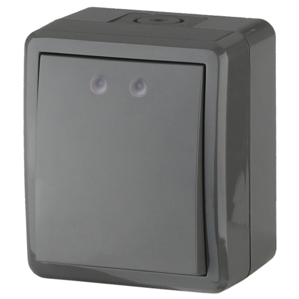 11-1401-03 ЭРА Выключатель IP54, 10АХ-250В, ОУ, Эра Эксперт, серый | Эра Эксперт