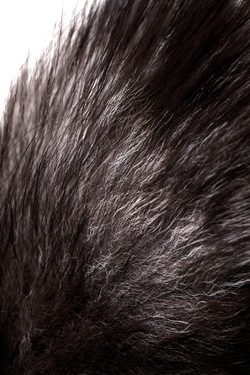 Анальная втулка с хвостом чернобурой лисы POPO Pleasure by TOYFA, M, силикон, черная, 45 см, Ø 3,3 с
