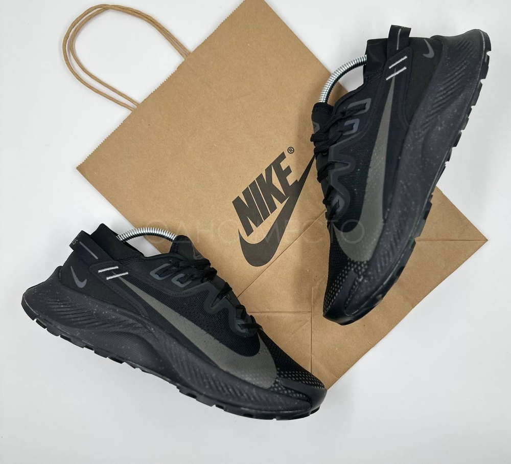 Nike Pegasus Trail 2