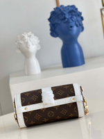 Louis Vuitton Papillon Trunk