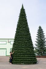 елка каркасная "Испанская" уличная