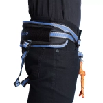 Пояс для каникросса в комплекте с потягом White Wolf серия Спорт