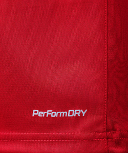Джемпер тренировочный DIVISION PerFormDRY Pro Training Top, красный