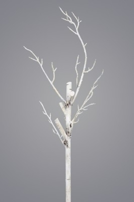 Березка декоративная зимняя GB211