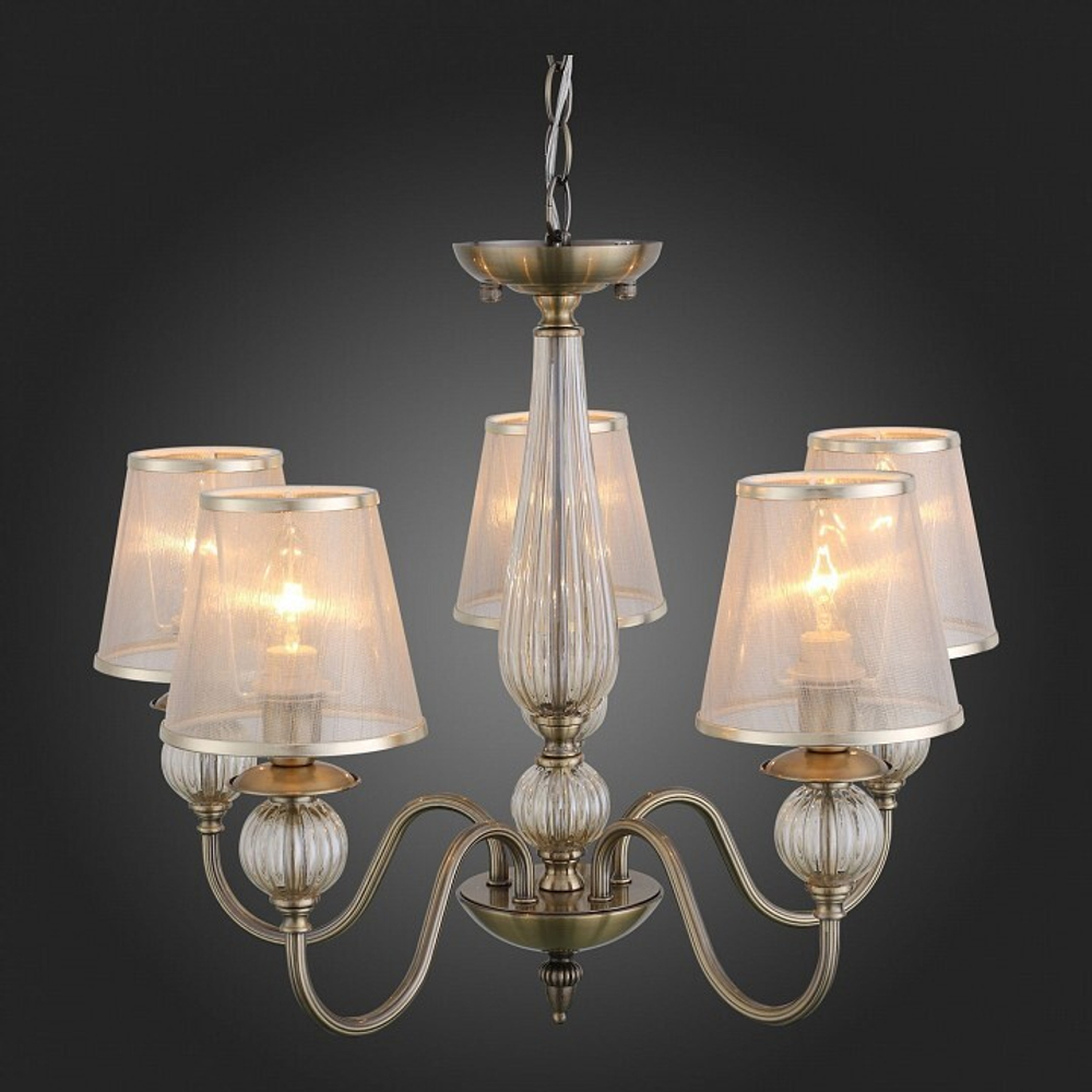 Подвесная люстра EVOLUCE SL185.303.05