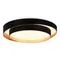 SLE6009-402-01 Светильник потолочный Черный/Белый LED 1*50W 3000K/4000K/6000K CROSBY