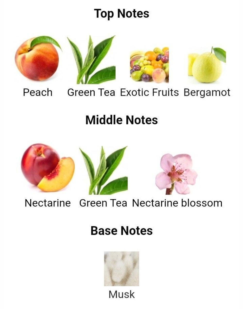 Elizabeth Arden Green Tea Nectarine Blossom EDT MOLECULE.EE