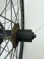 Колесо для велосипеда Alexrims 26" (заднее) w0193