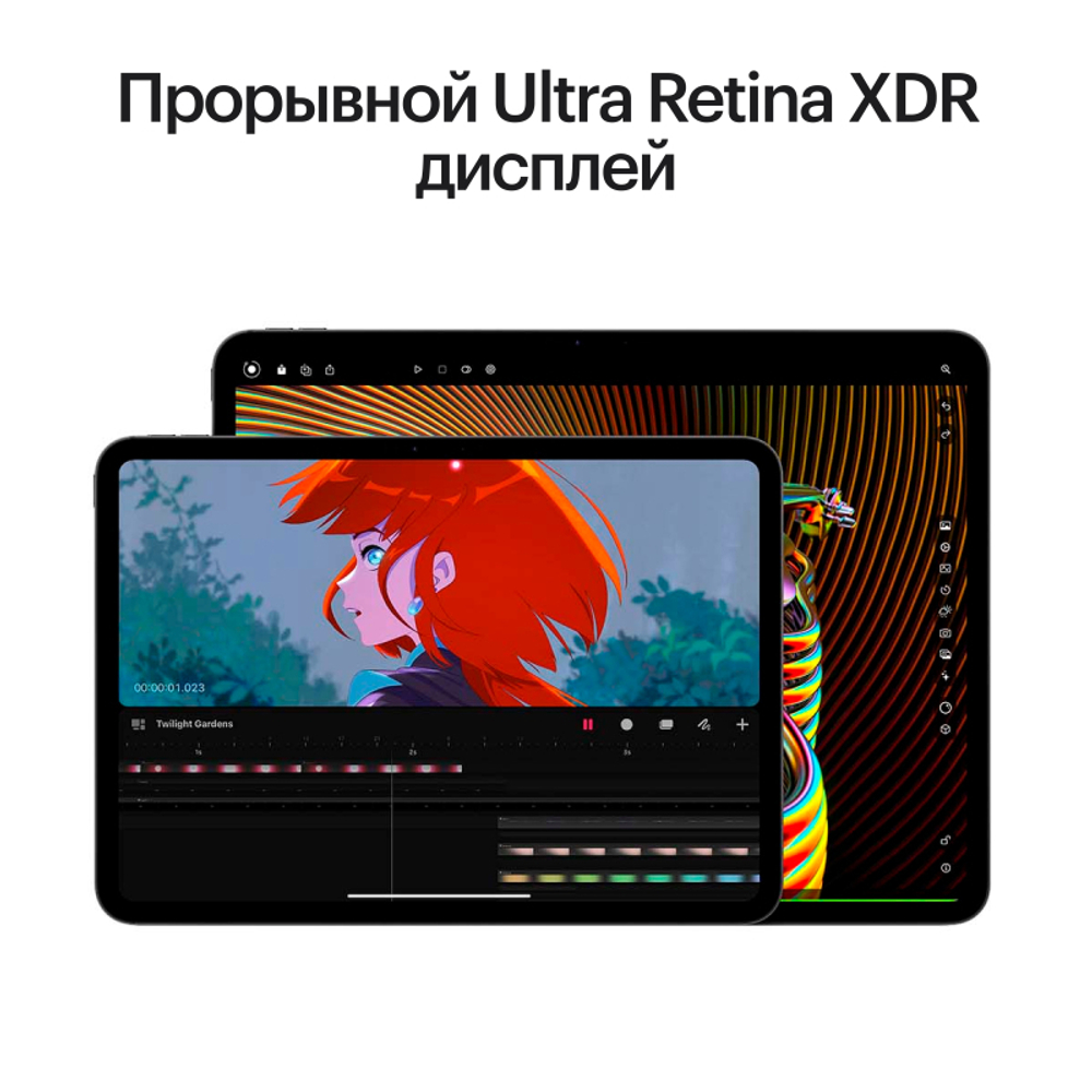 iPad Pro 11” дюймов M4