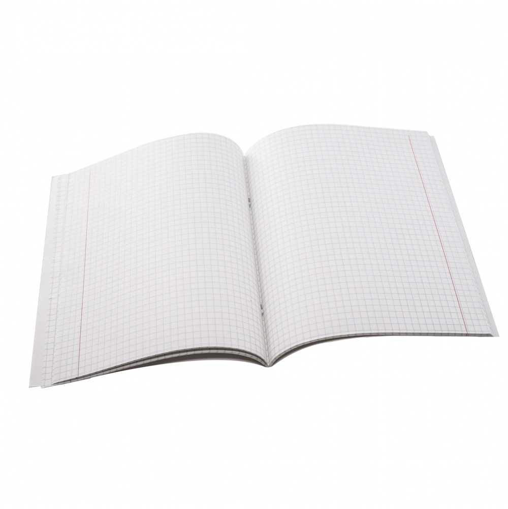 Тетрадь предметная "Физика" А5 48л., клетка, со справочным материалом, скрепка, мелованный картон(стандарт), блок офсет, Alingar "Mystical wednesday"