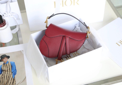 Christian Dior Saddle Bag 21 cm