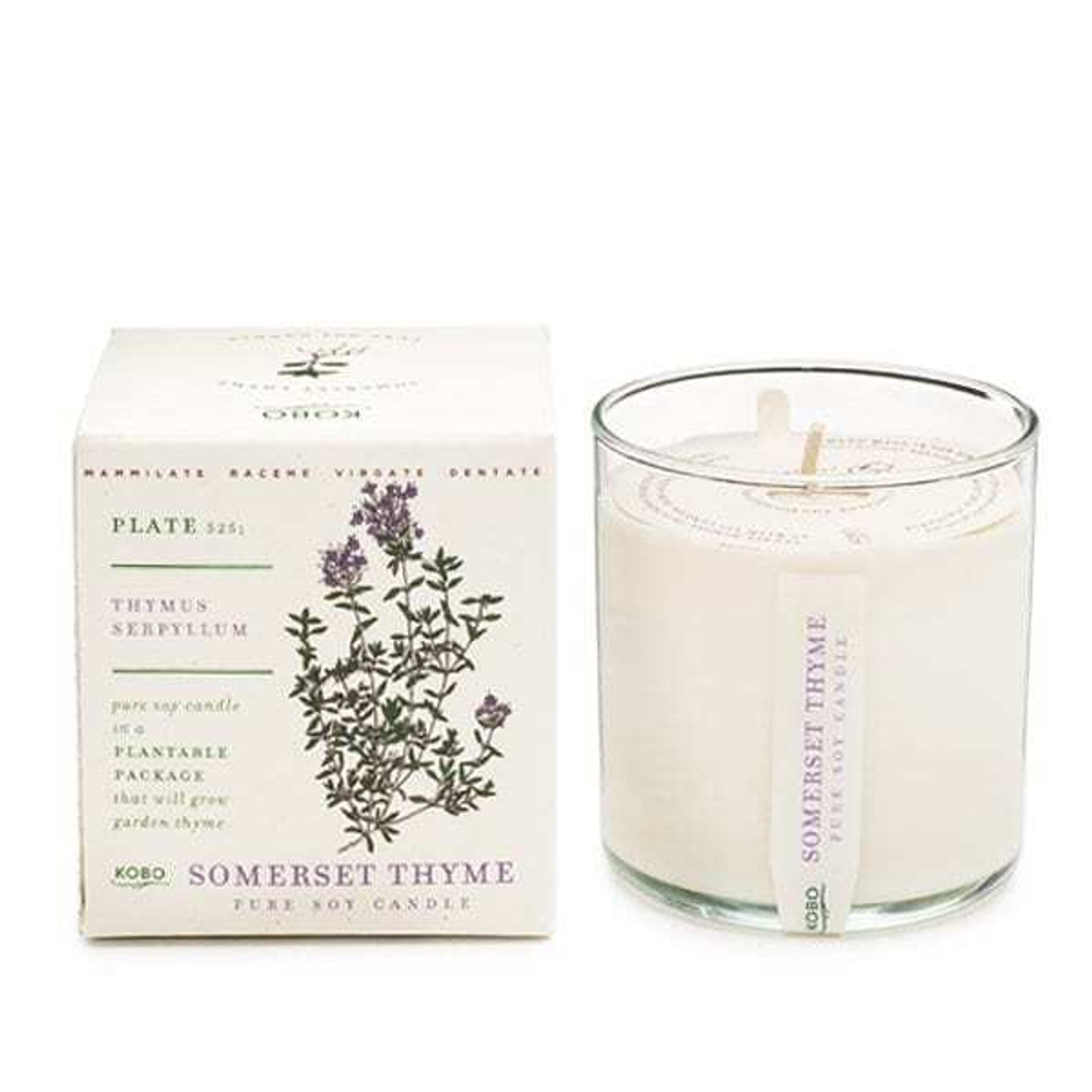 SOMERSET THYME