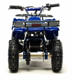 Электроквадроцикл Motoland ATV E009 1000W