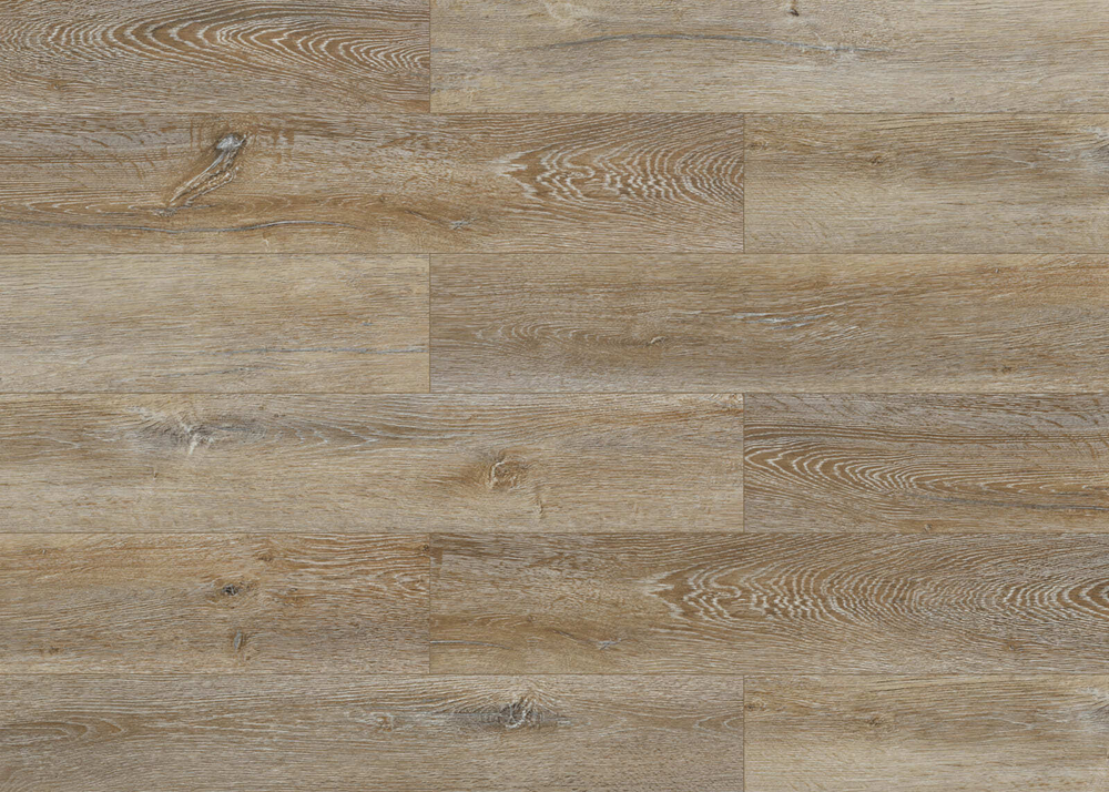 HW 02010 CORIANDER