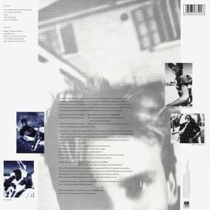 Sting / The Dream Of The Blue Turtles (LP)
