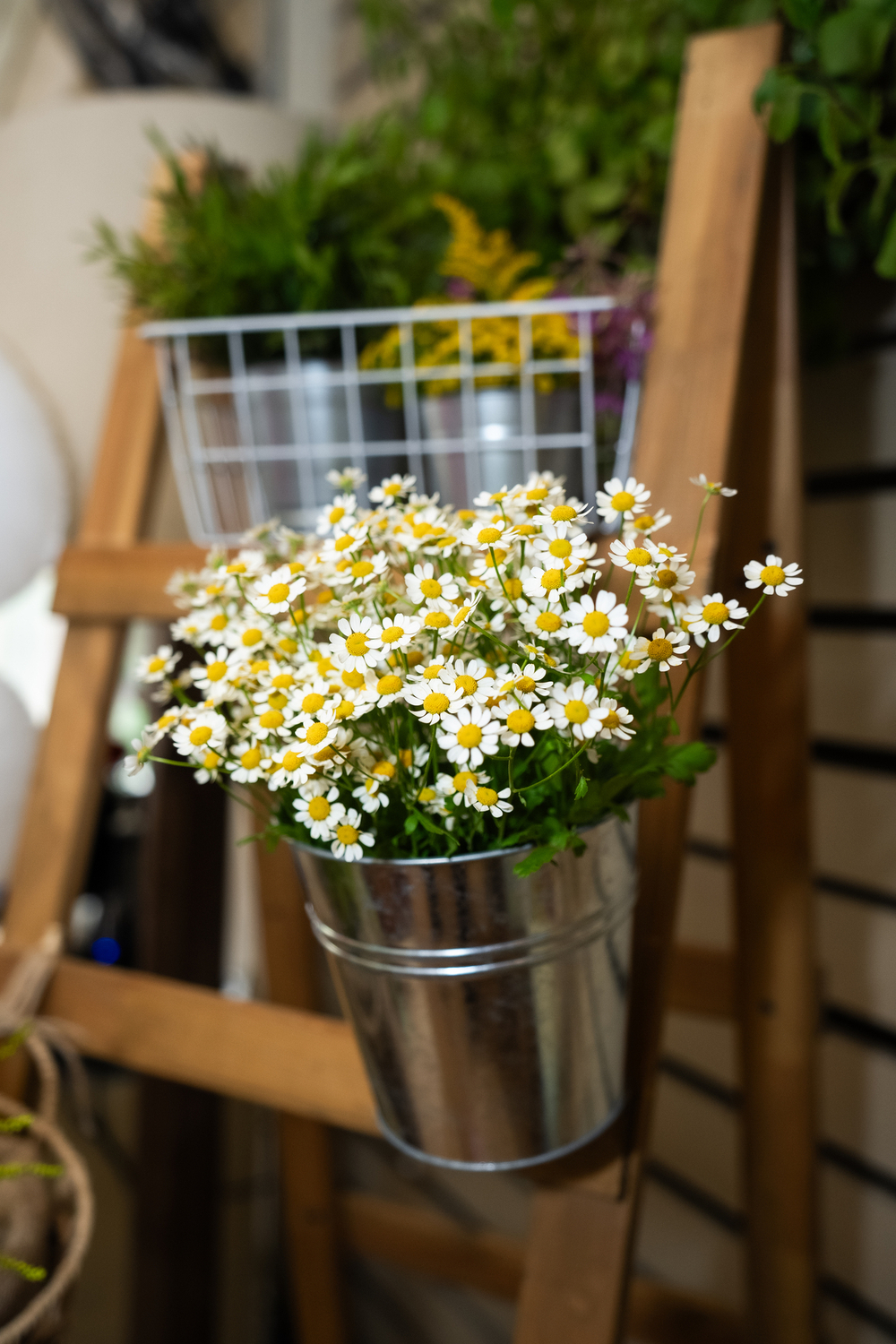 Daisy Picnic Party