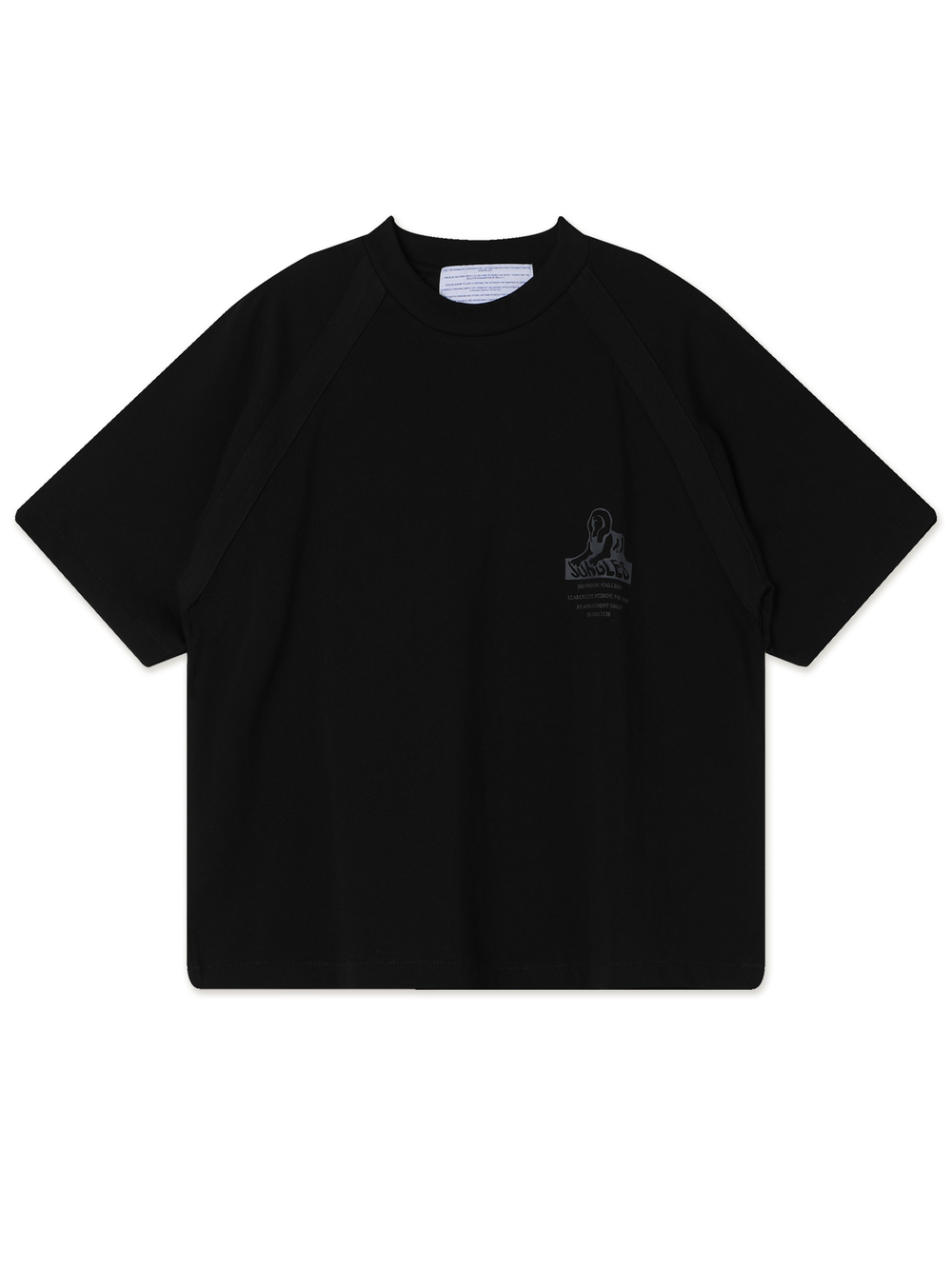 Мужская Футболка Sphinx Raglan