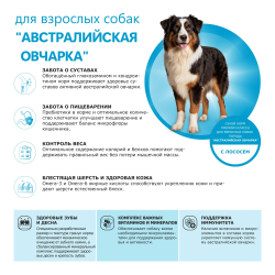 Корм сухой для взрослых собак породы Австралийская овчарка, премиум полнорационный комплекс, с лососем, 12 кг, QUATTRO