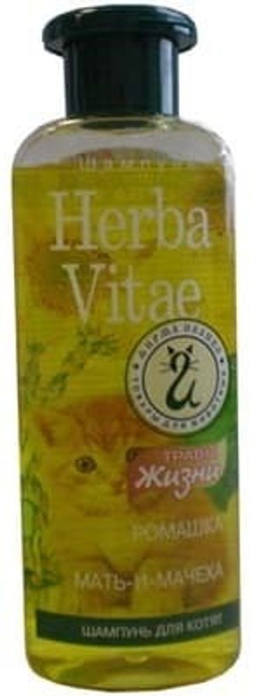 Herba Vitae: шампунь д/котят 250мл