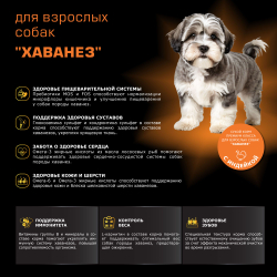 Корм сухой для взрослых собак породы Хаванез, с индейкой, 800 гр, QUATTRO