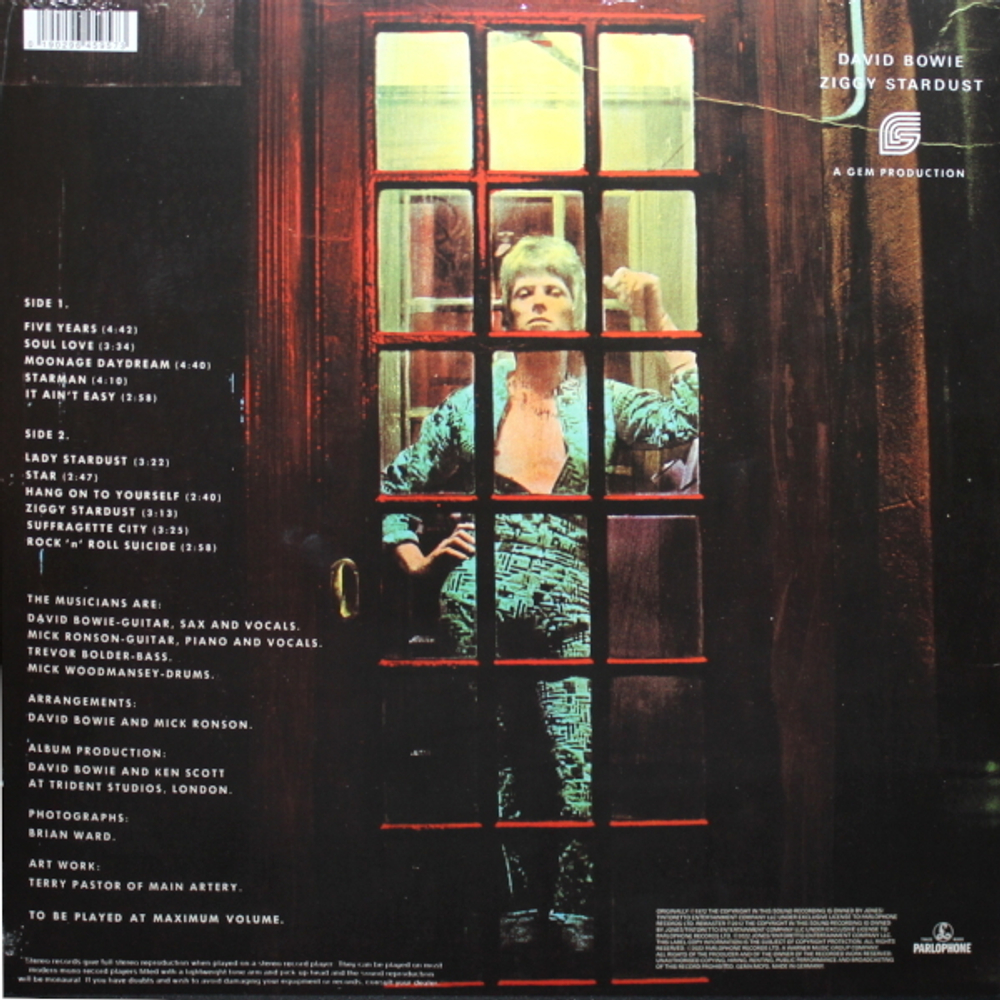 David Bowie / The Rise And Fall Of Ziggy Stardust And The Spiders From Mars (Picture Disc)(LP)