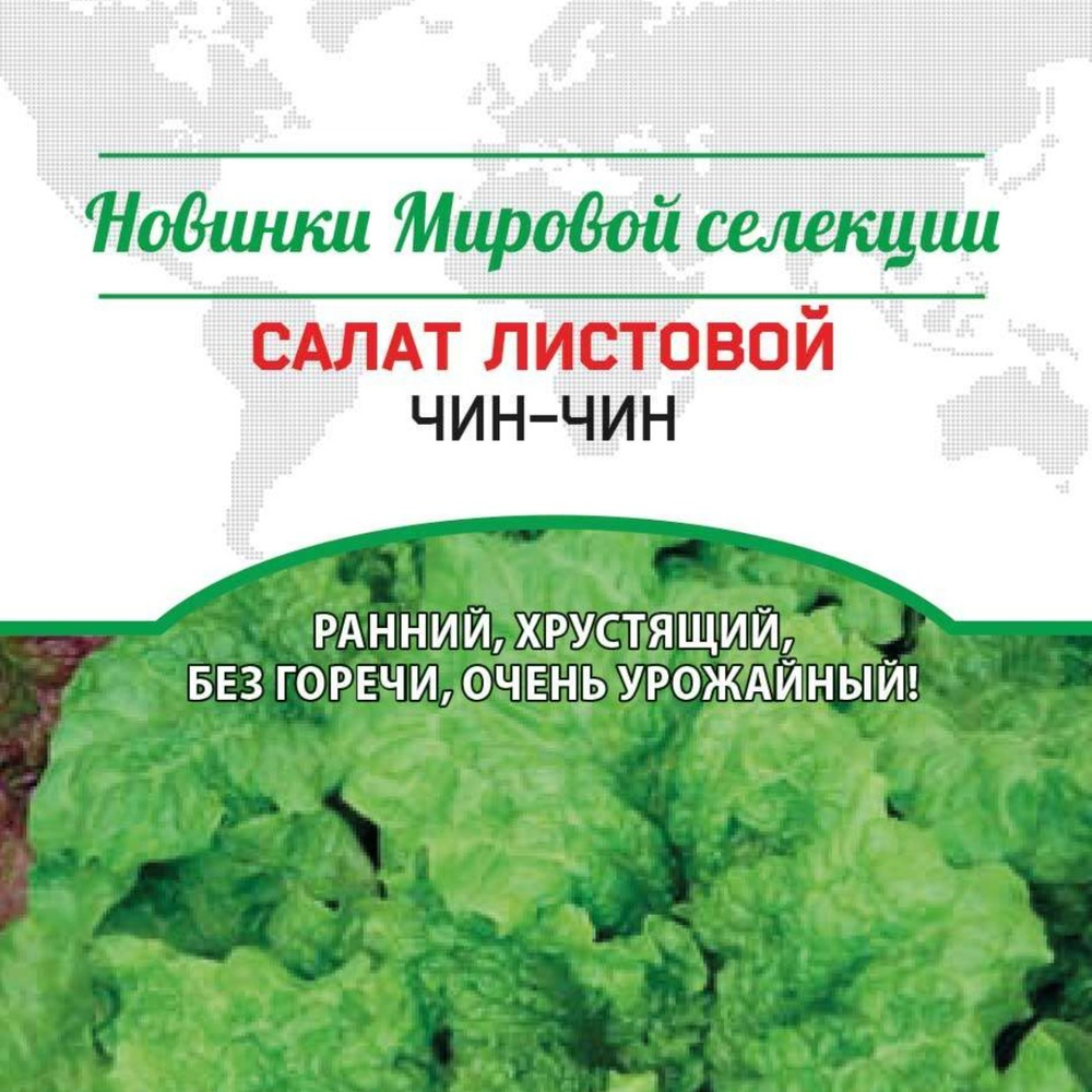 Салат листовой Чин чин (chin chin)