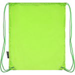 Мешок для сменной обуви 1 отделение Проф-Пресс, 340х450 мм, двойной шнурок, "Зеленый"