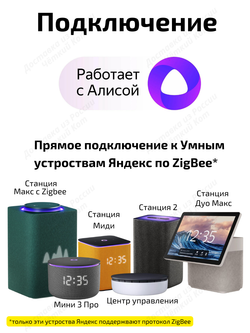 Умная розетка ZigBee 16А с Алисой